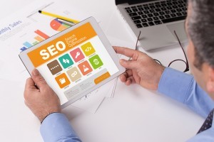 Search Engine Optimization (SEO)